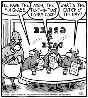 The Argyle Sweater for 9/26/2025