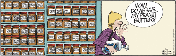 Zits for 9/27/2025
