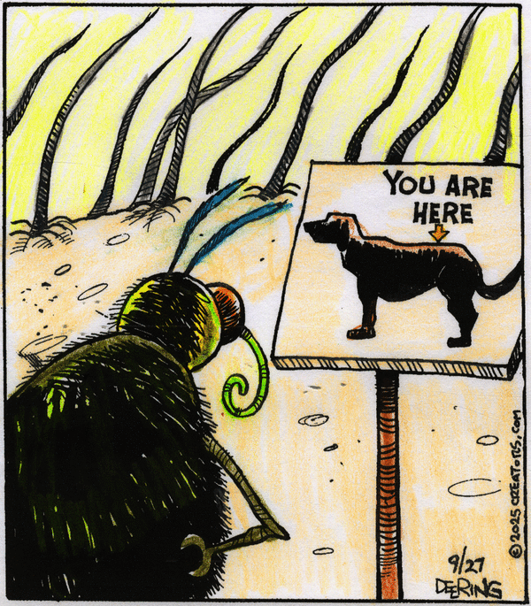 Strange Brew for 9/27/2025