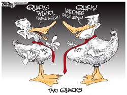 Two Quacks