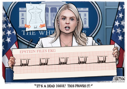 Trump Signature Epstein Files EKG