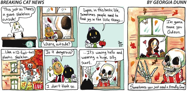 Breaking Cat News for 10/5/2025