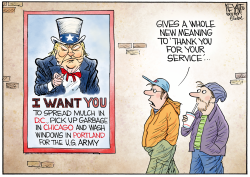 Military Disservice