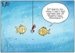 Hooked on Trump's Fake Promises