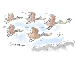 Geese Migration