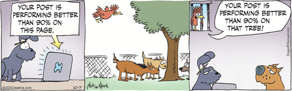 Dogs of C-Kennel for 10/7/2025