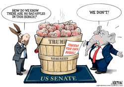 click or tap to zoom Senate To Confirm Trump Nominees By The Bushel