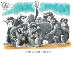 Jane Goodall
