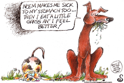 click or tap to zoom TWO DOGS DISCUSS NOEM