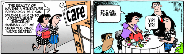 The Other Coast for 10/30/2025