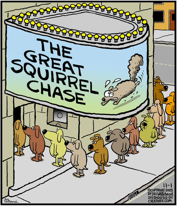 Free Range for 11/1/2025