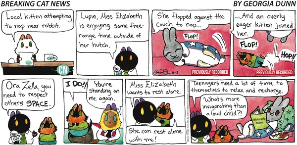 Breaking Cat News for 11/2/2025