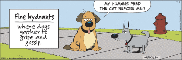 Marvin for 11/3/2025