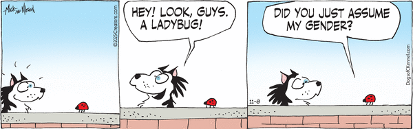 Dogs of C-Kennel for 11/8/2025