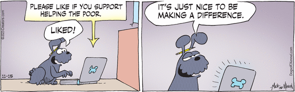 Dogs of C-Kennel for 11/15/2025