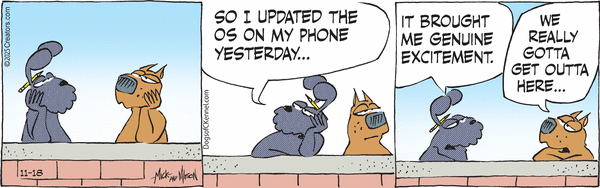 Dogs of C-Kennel for 11/18/2025