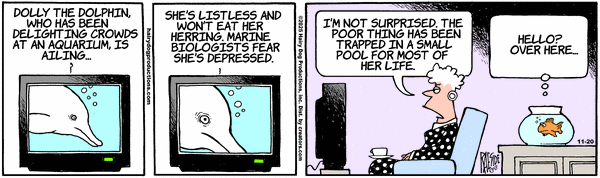 The Other Coast for 11/20/2025