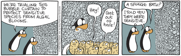 Arctic Circle 11/24/2025