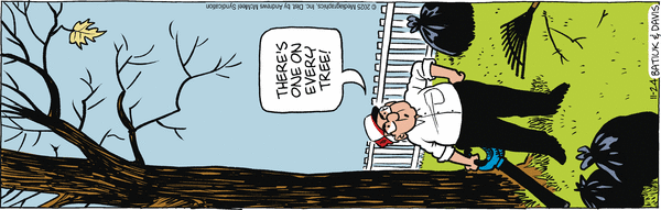 Crankshaft for 11/24/2025