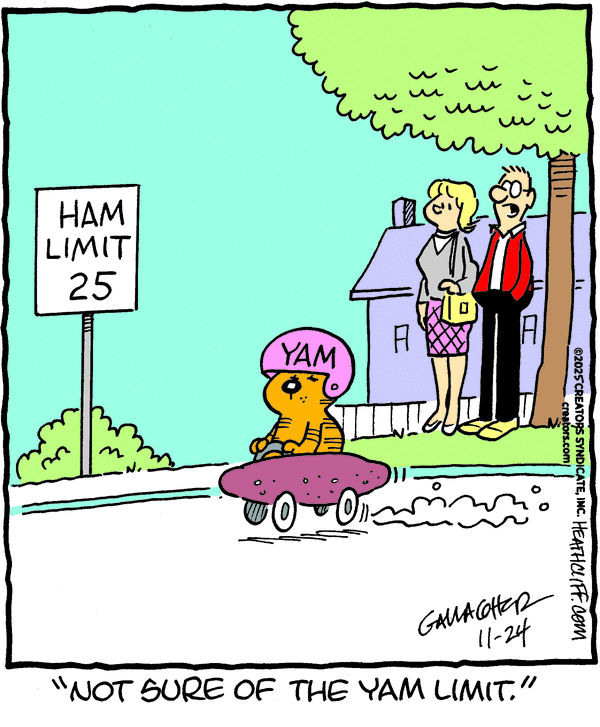 Heathcliff for 11/24/2025