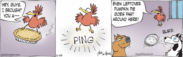 Dogs of C-Kennel for 11/28/2025