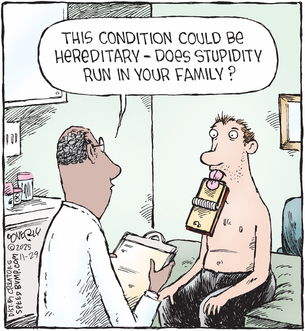 Speed Bump for 11/29/2025