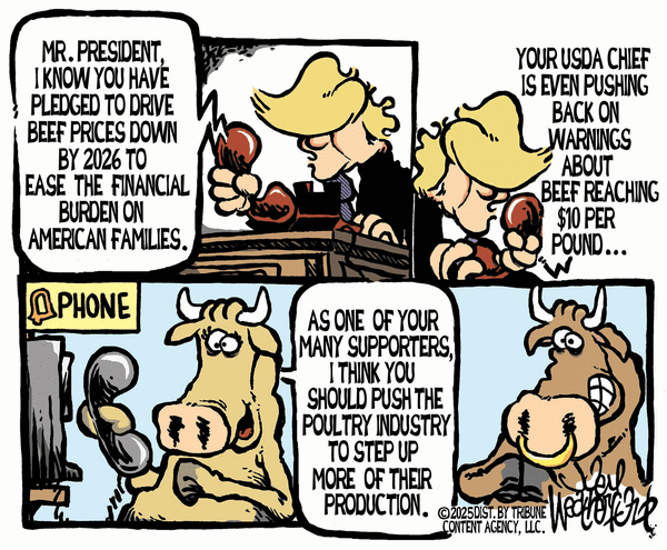 Joey Weatherford for 11/25/2025