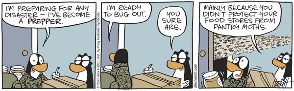 Arctic Circle 12/5/2025