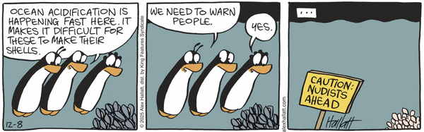 Arctic Circle 12/8/2025