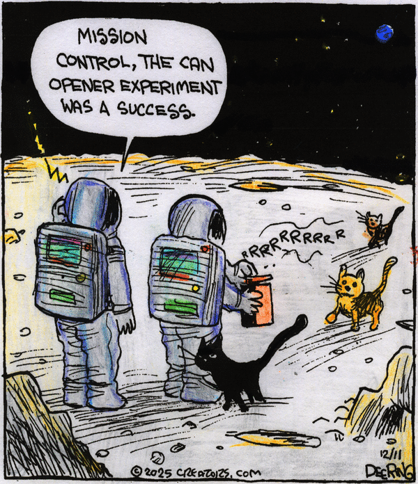 Strange Brew for 12/11/2025