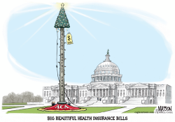 Rising Health Care Premiums Capitol Xmas Tree