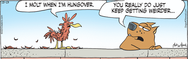 Dogs of C-Kennel for 12/13/2025