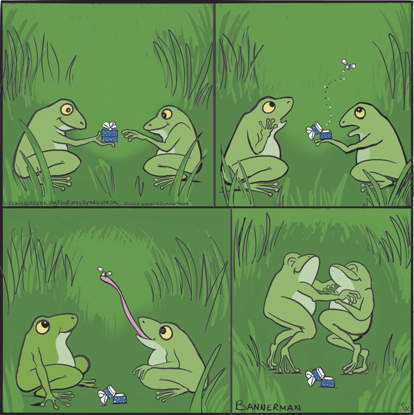 Six Chix for 12/22/2025