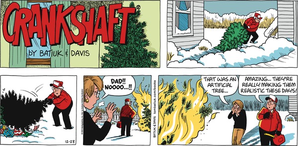 Crankshaft for 12/28/2025