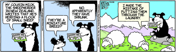 The Other Coast for 12/30/2025