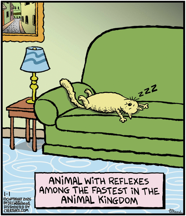 Free Range for 1/1/2026