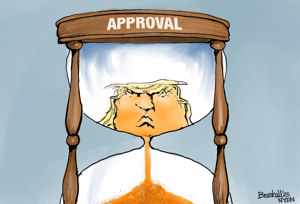 Bill Bramhall for 12/29/2025