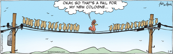 Dogs of C-Kennel for 1/9/2026