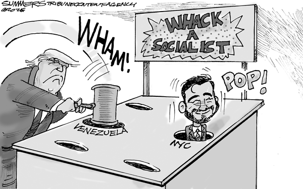 Dana Summers for 1/3/2026