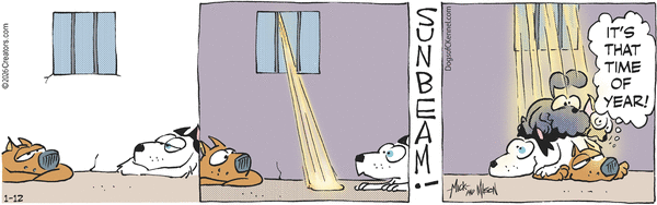 Dogs of C-Kennel for 1/12/2026