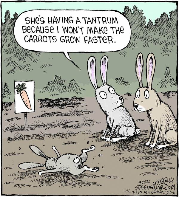 Speed Bump for 1/26/2026