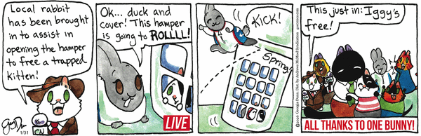 Breaking Cat News for 1/31/2026