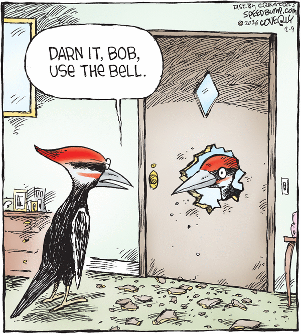 Speed Bump for 2/9/2026