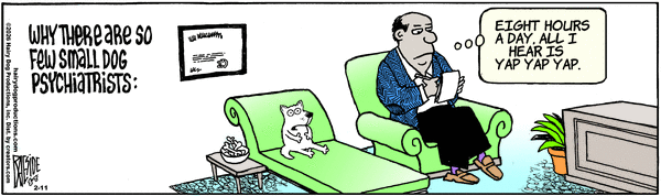 The Other Coast for 2/11/2026