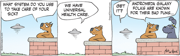 Dogs of C-Kennel for 2/17/2026