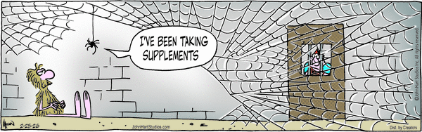 Wizard of Id for 2/25/2026