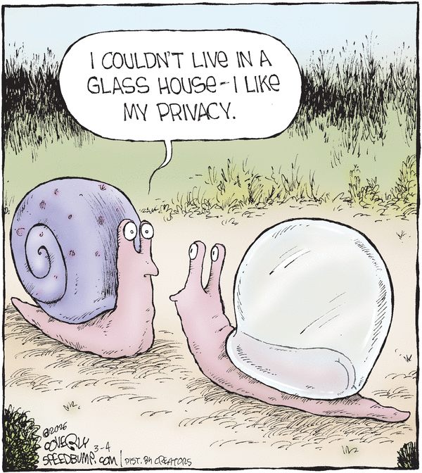 Speed Bump for 3/4/2026