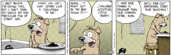 Get Fuzzy for 3/12/2026