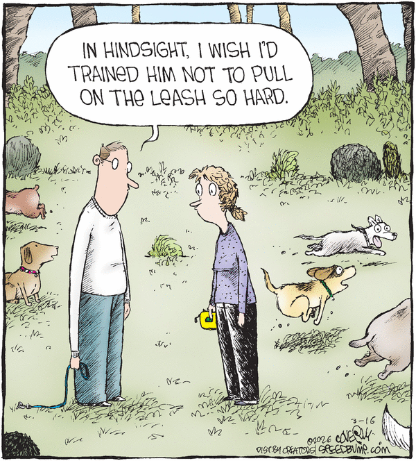 Speed Bump for 3/16/2026