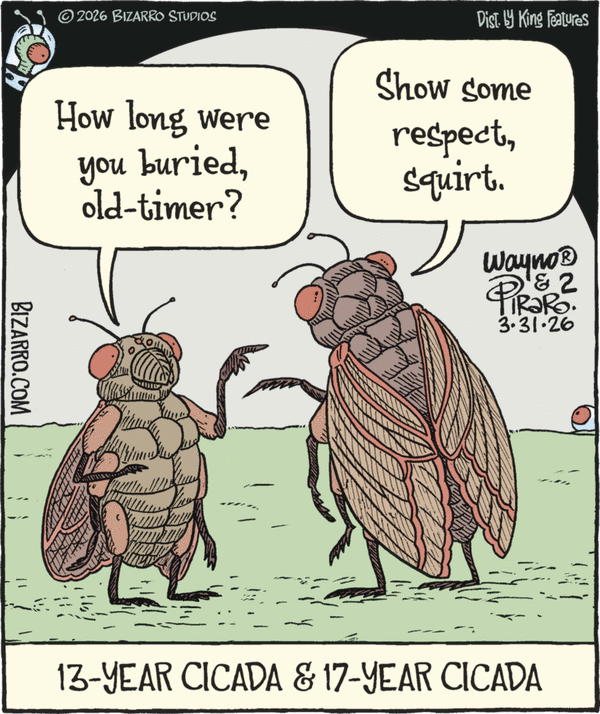 Bizarro for 3/31/2026